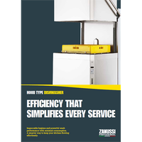 HOOD TYPE DISHWASHER